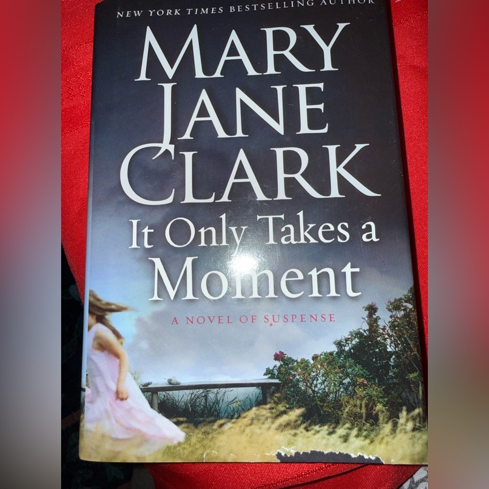 It Only Takes a Moment - Mary Jane Clark Novel